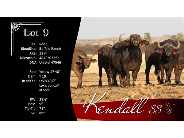 ~/upload/Lots/1471/AdditionalPhotos/zzgmdkpxvcpao/9 Kendall Info_t600x450.jpg
